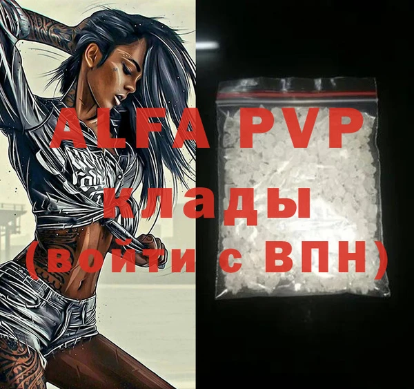 спайс Инта