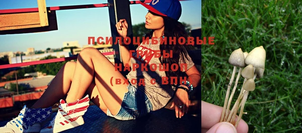 спайс Инта