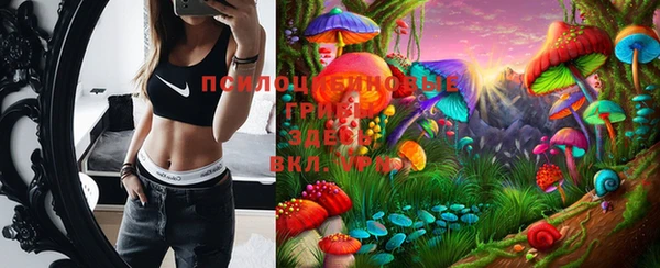 спайс Инта