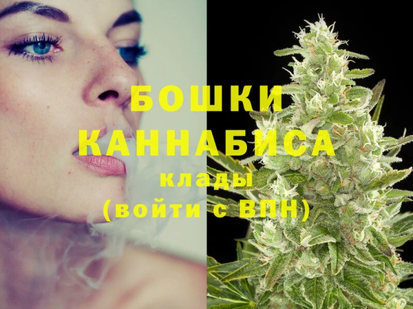 спайс Инта